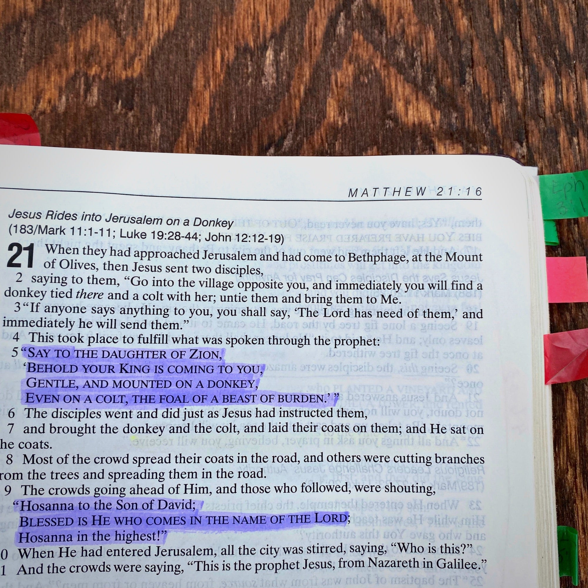 4 Significant Things to Think About on Palm Sunday