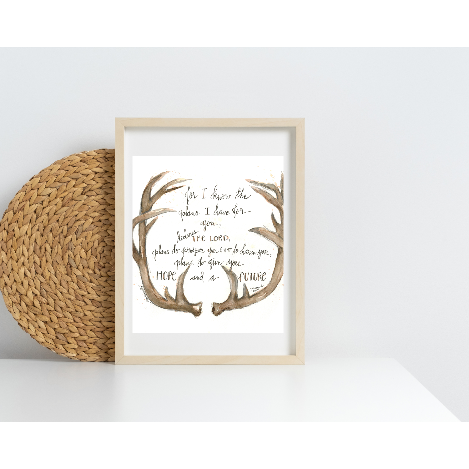 Deer - Antlers