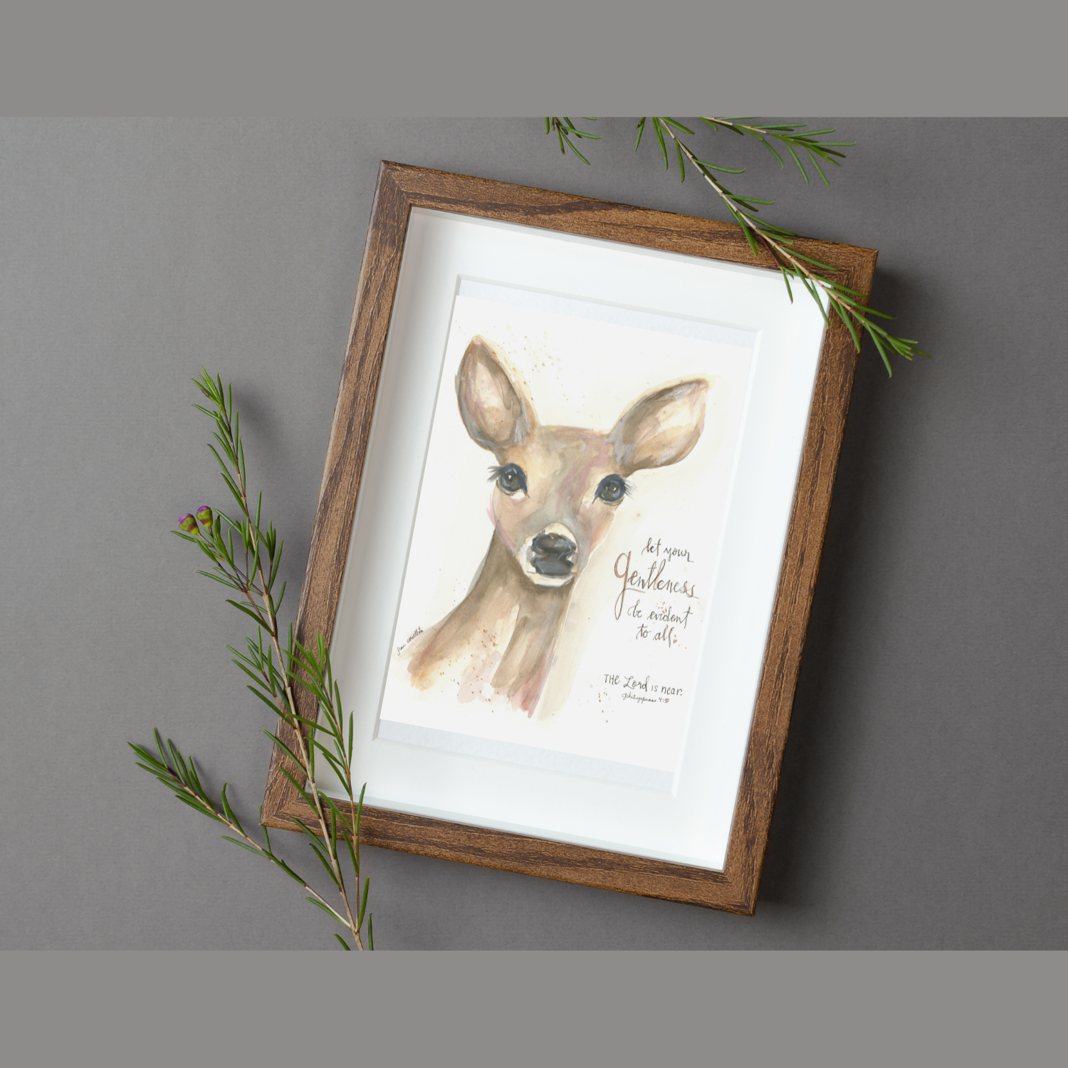 Deer - Doe