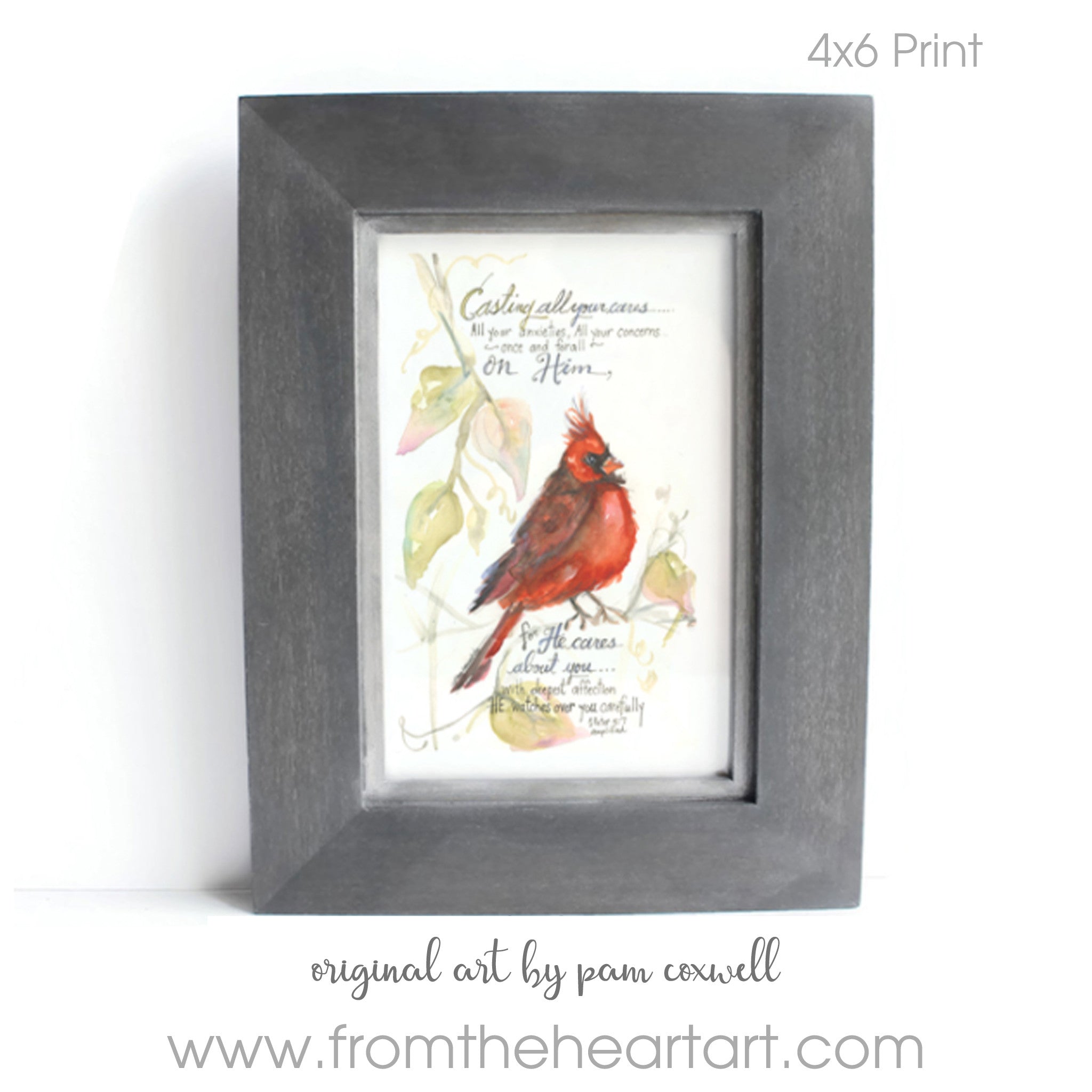 Male Cardinal